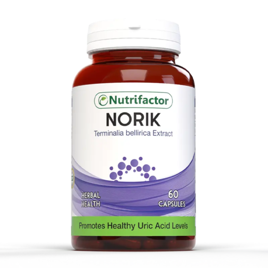 Norik