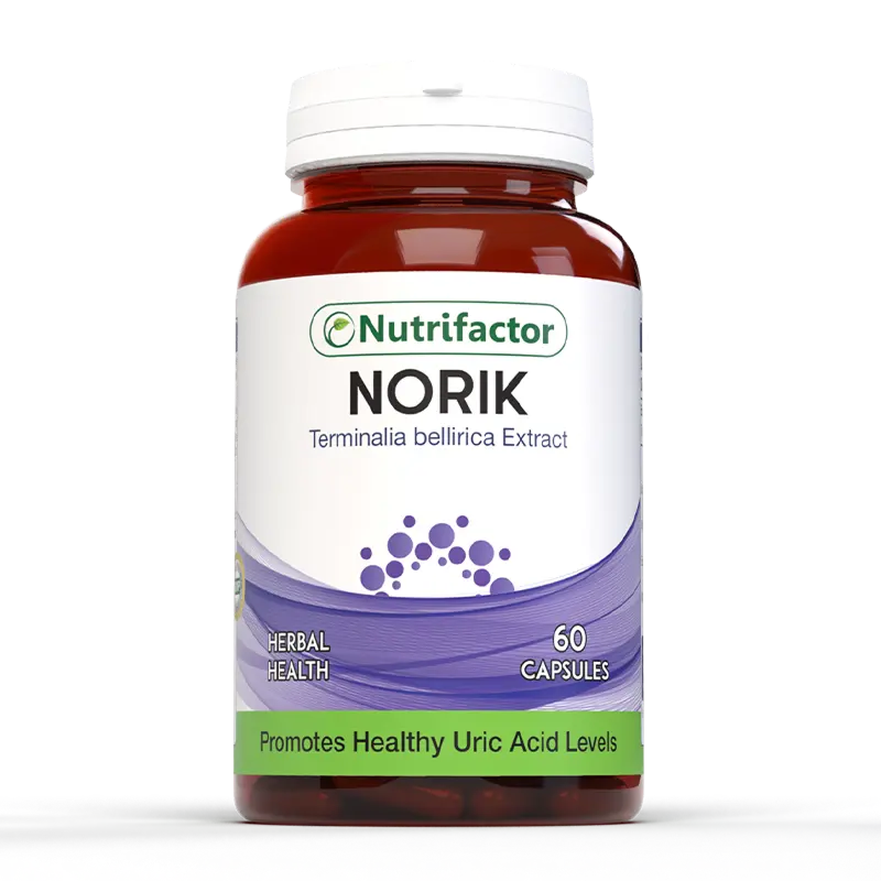 Norik Norik